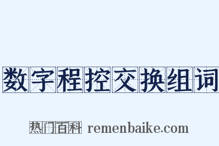 数字程控交换组词是什么意思的图片